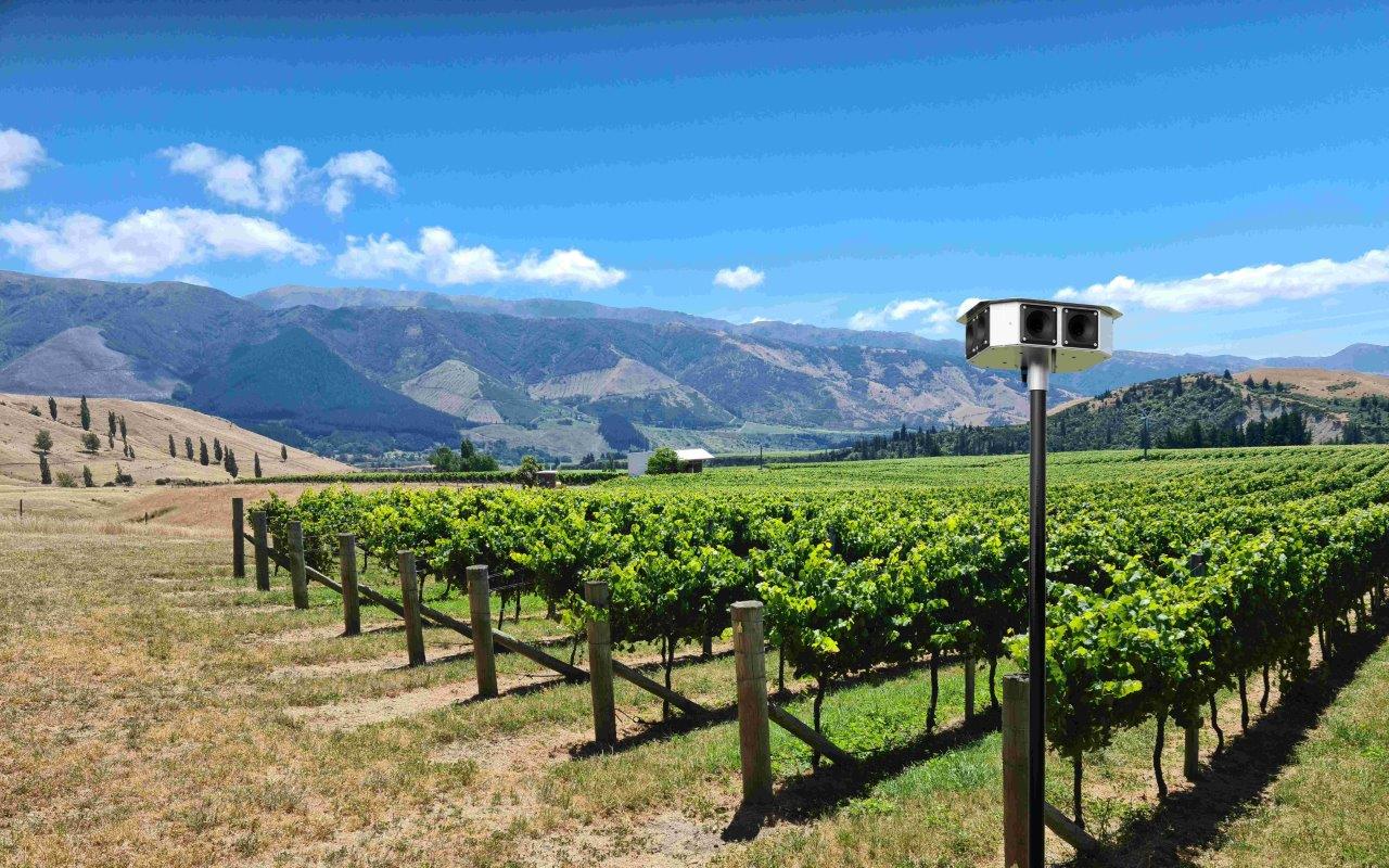 Why use Birdzout Bioacoustics for Bird Control?