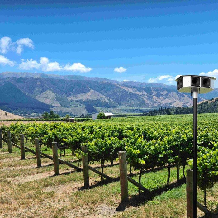 Why use Birdzout Bioacoustics for Bird Control?