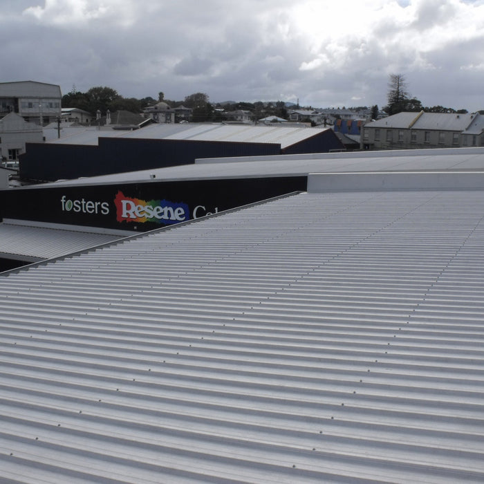 Case Study: BroadBand Pro Keeps Seagulls Off Warehouse Roof