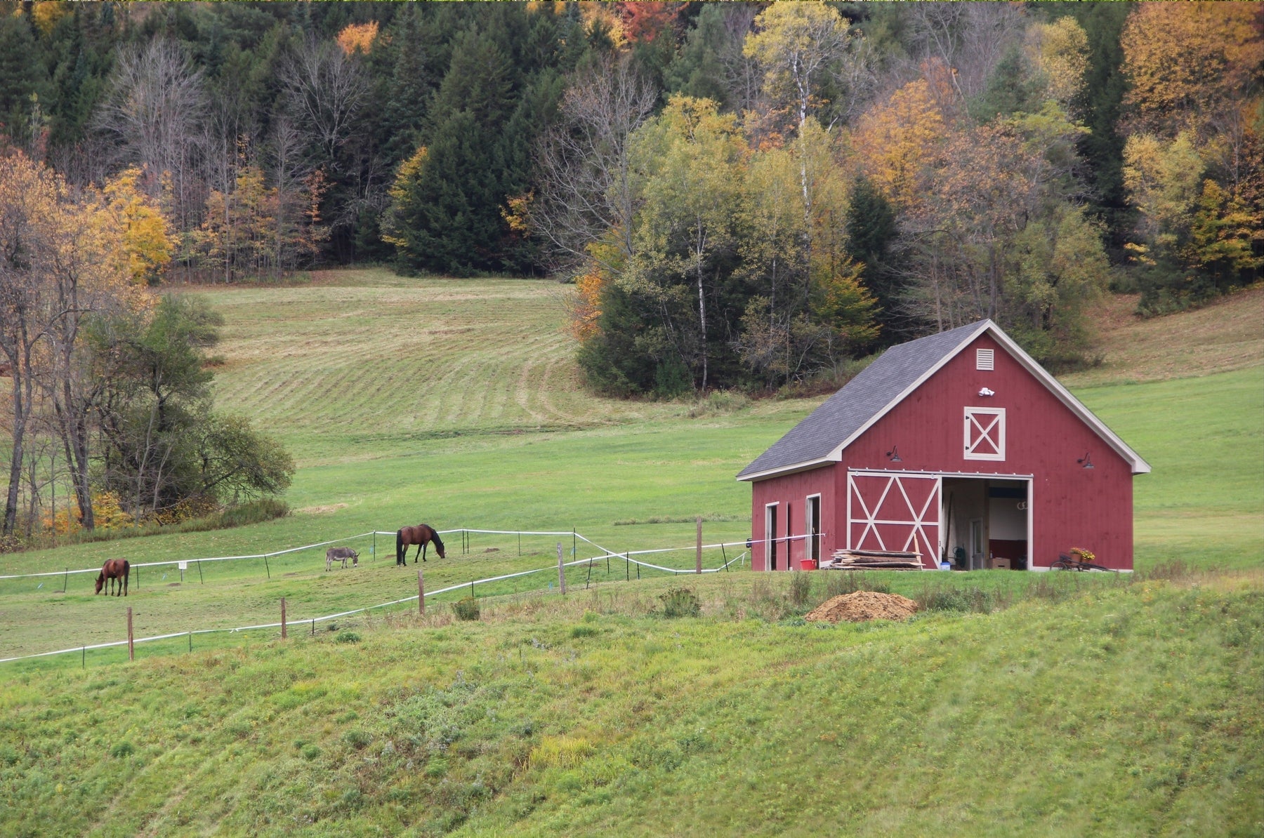 Bird control for farm sheds