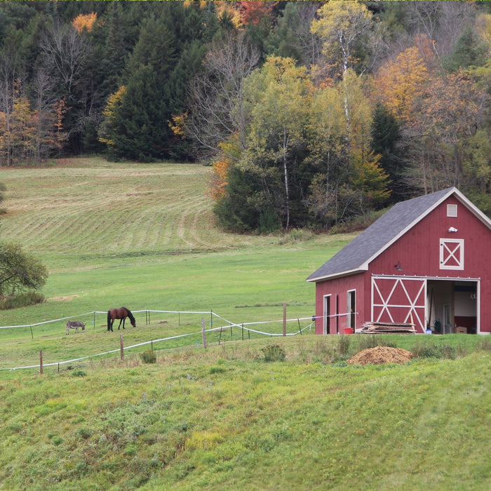 Bird control for farm sheds
