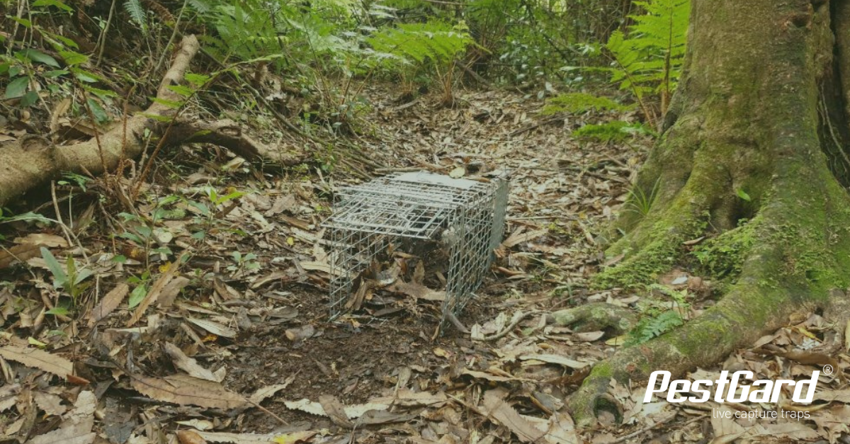Live Capture Trap Setup Checklist