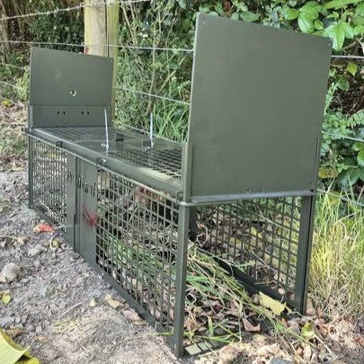 How to Place and Prepare Live Capture Traps for Better Results