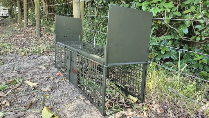 How to Place and Prepare Live Capture Traps for Better Results