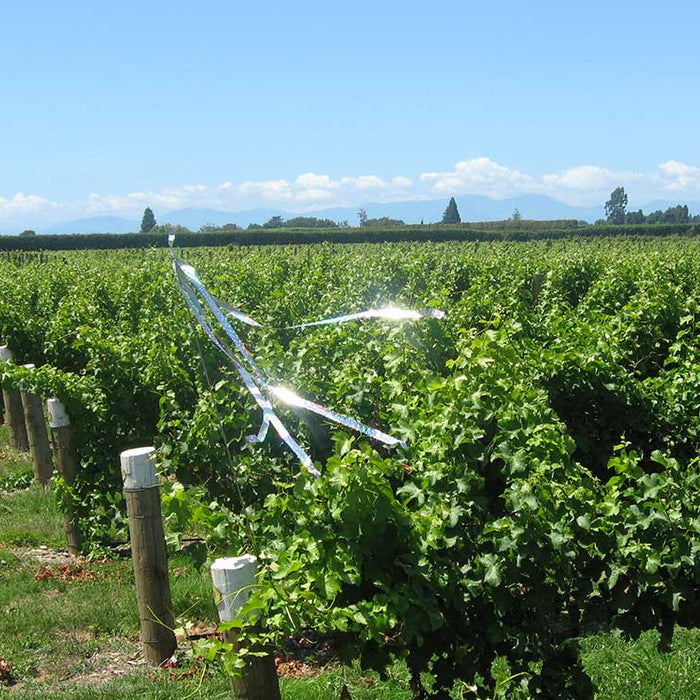 Bird control guide for vineyards