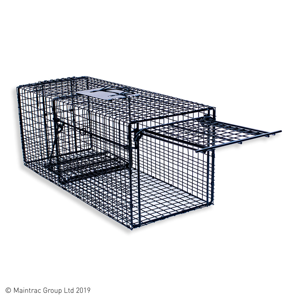 Professional Cage Trap | Cat Trap | Possum Trap | Live Capture ...