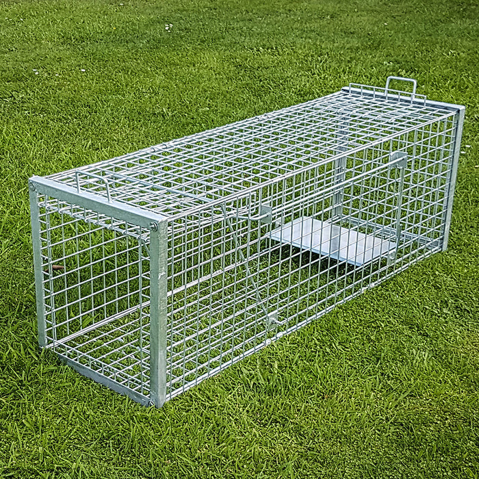 Dog & Large Animal Trap
