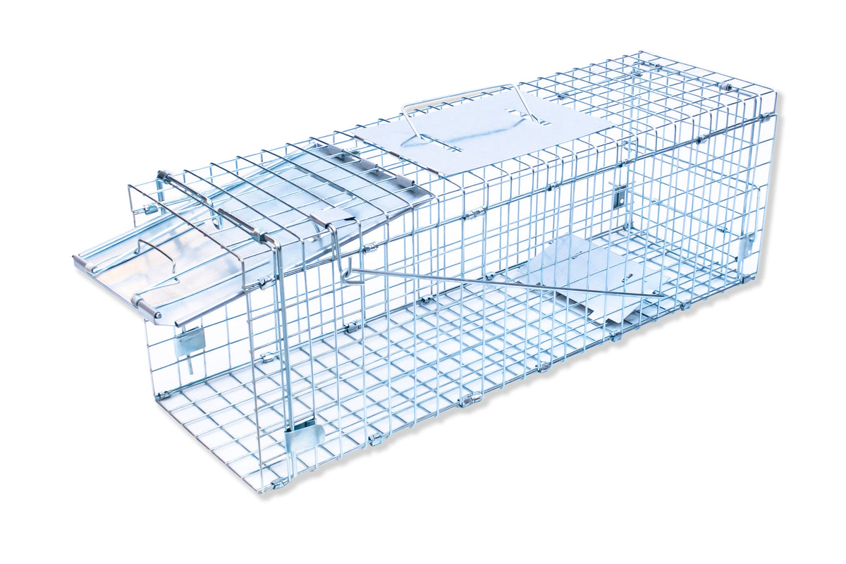 Small Cage Trap — Pestgard Traps